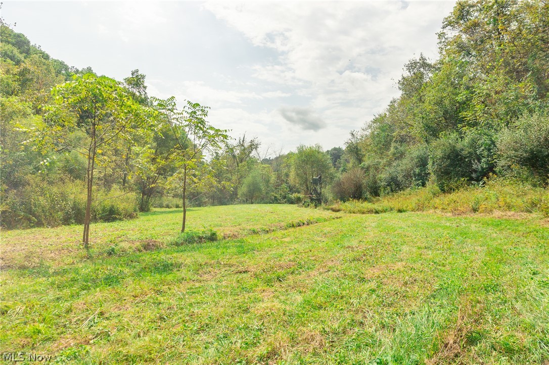 84134 Brewer Road Cadiz OH 43907
