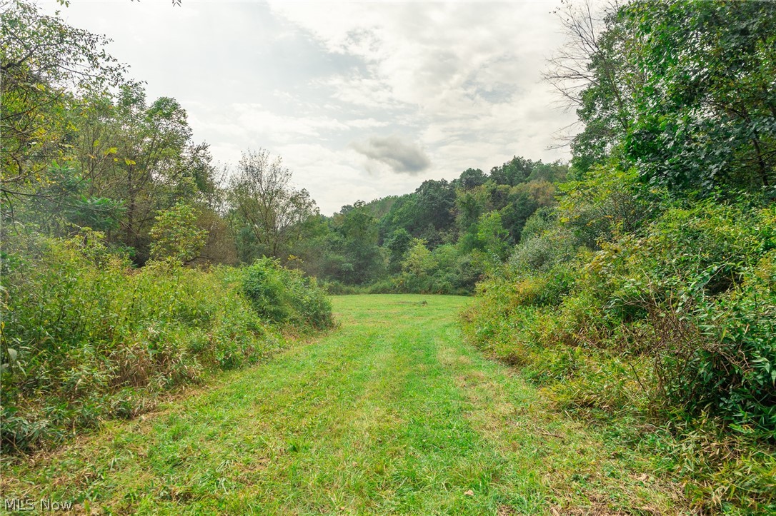 84134 Brewer Road Cadiz OH 43907