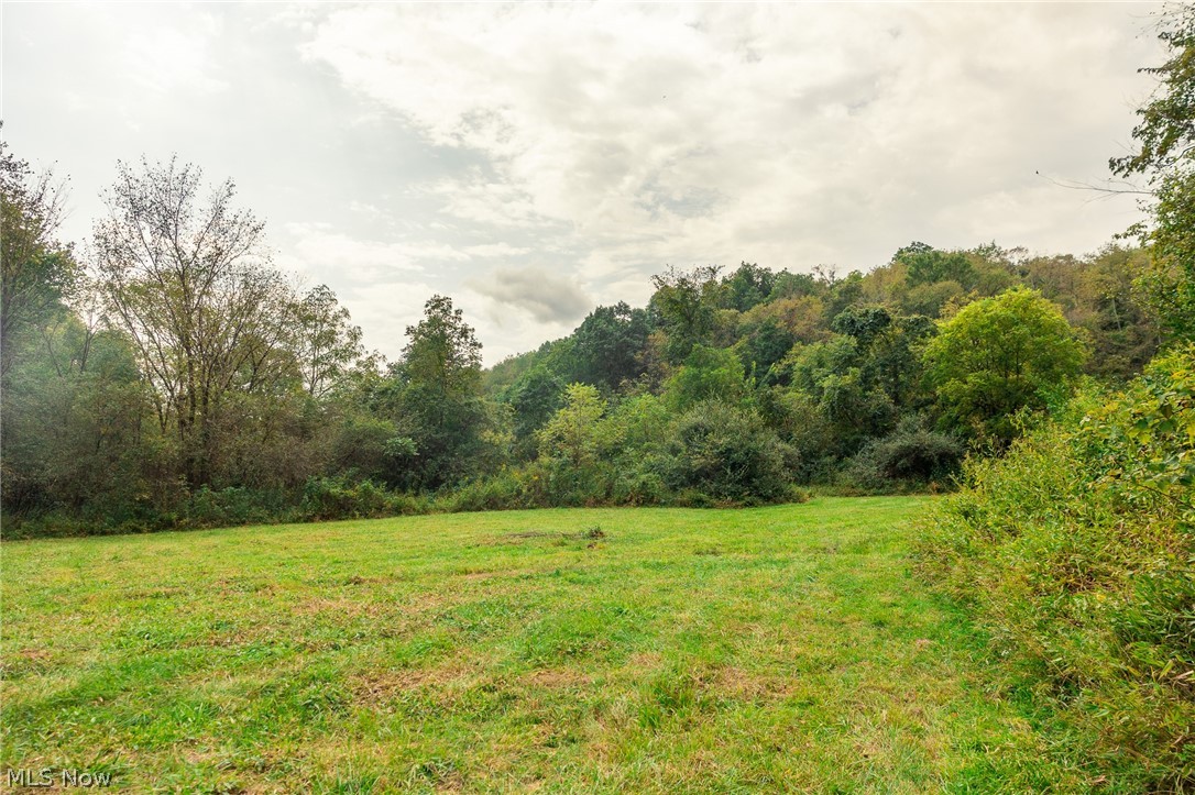 84134 Brewer Road Cadiz OH 43907