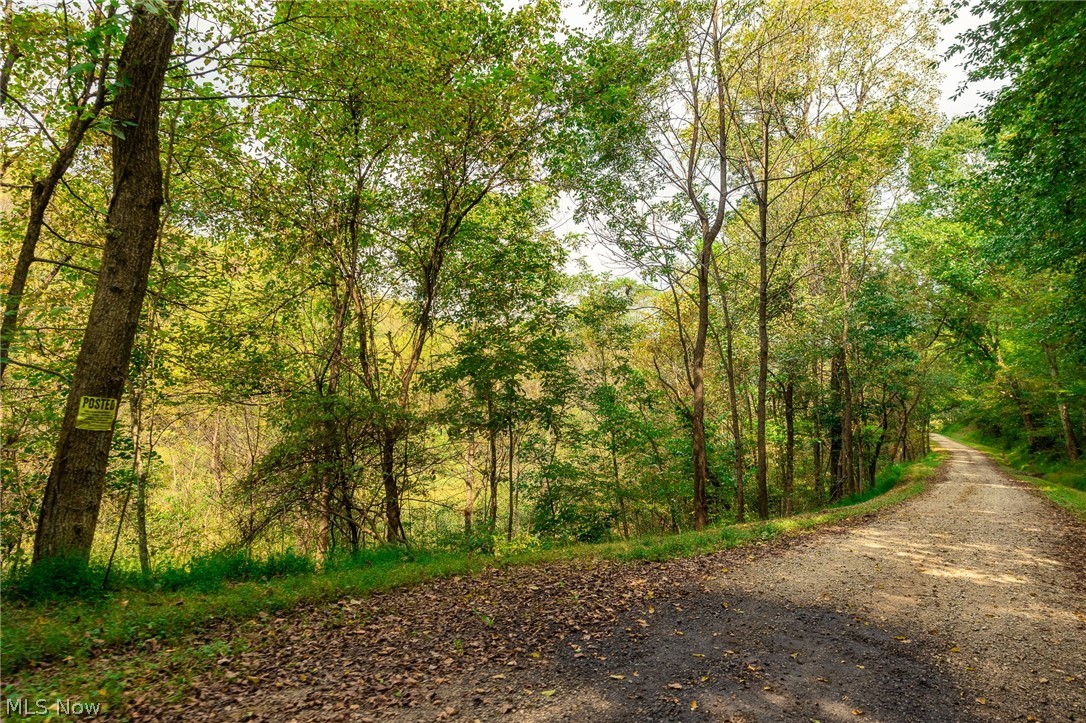 84134 Brewer Road Cadiz OH 43907