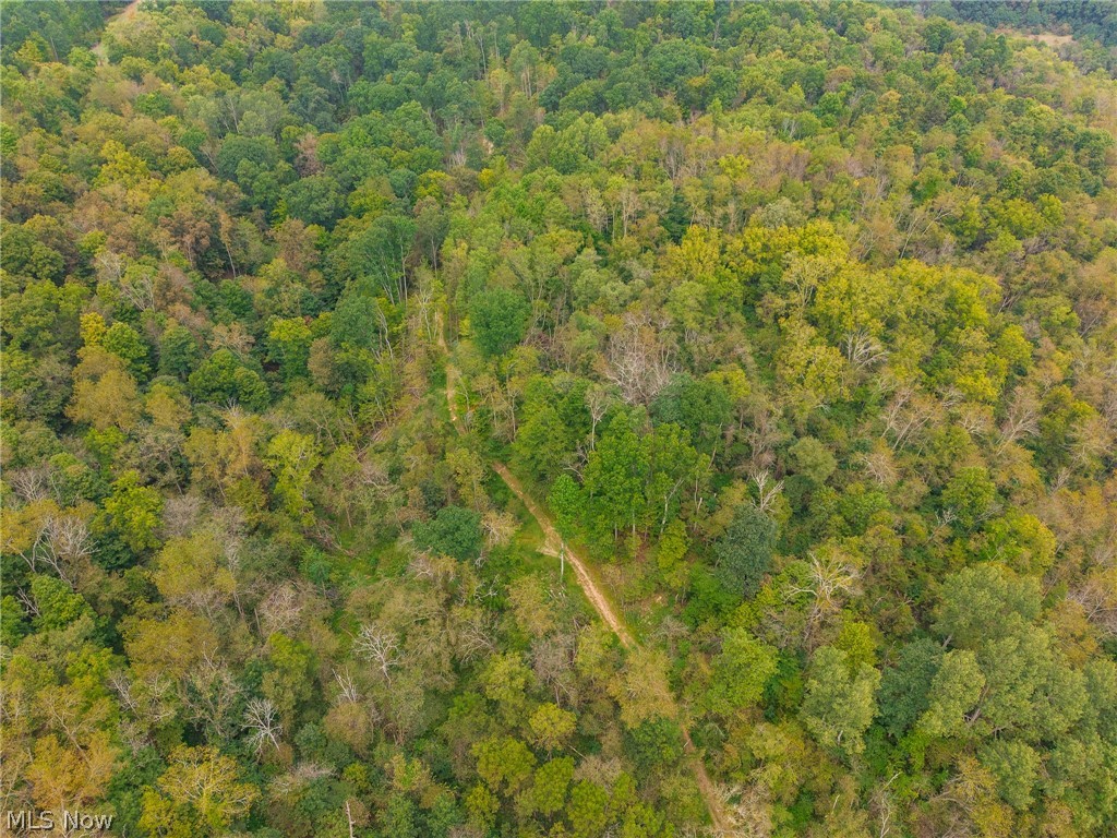 84134 Brewer Road Cadiz OH 43907
