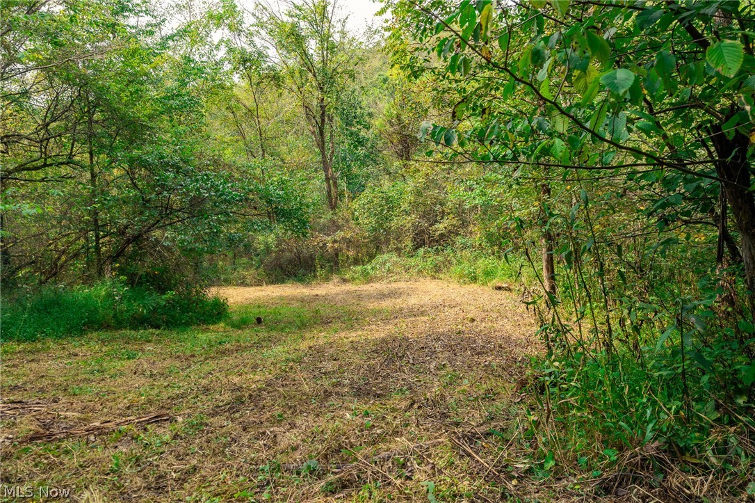 84134 Brewer Road Cadiz OH 43907