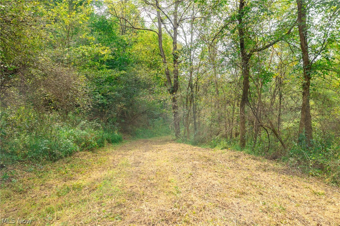 84134 Brewer Road Cadiz OH 43907