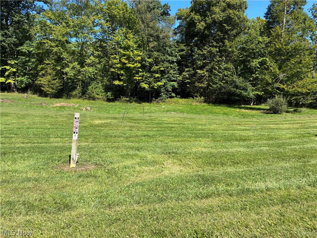 Concord Drive East Palestine OH 44413