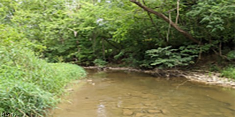 00000 St Rt 148 Or (Hunter New Castle Rd) Beallsville OH 43716