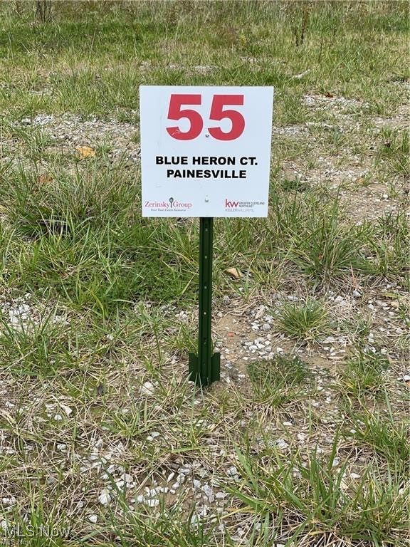 55 Blue Heron Court Painesville OH 44077