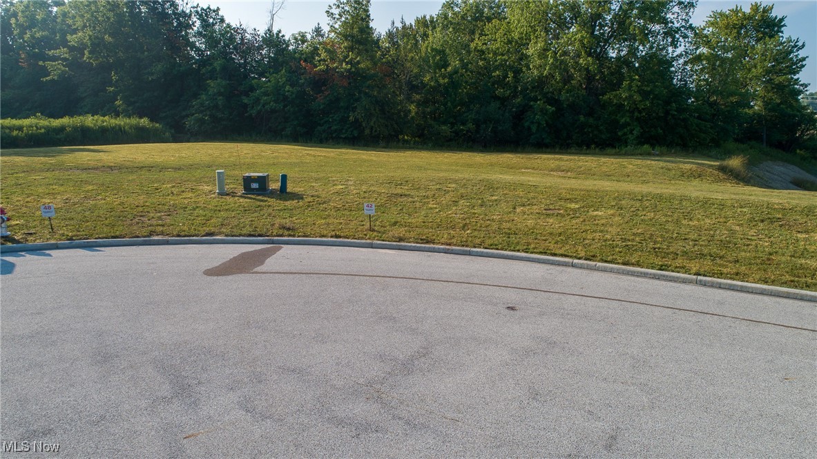 42 Blue Heron Court Painesville OH 44077