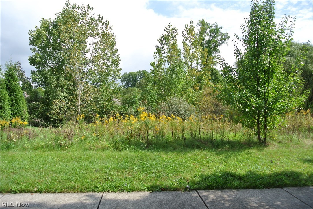 8816 Garnet Way Streetsboro OH 44241