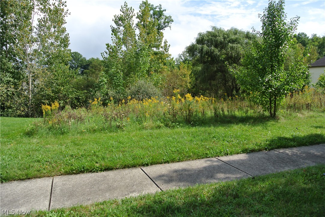 8816 Garnet Way Streetsboro OH 44241