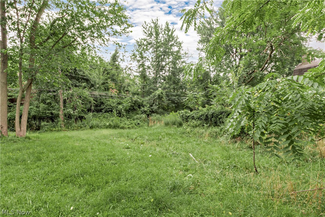 871 E 131 Street Cleveland OH 44108