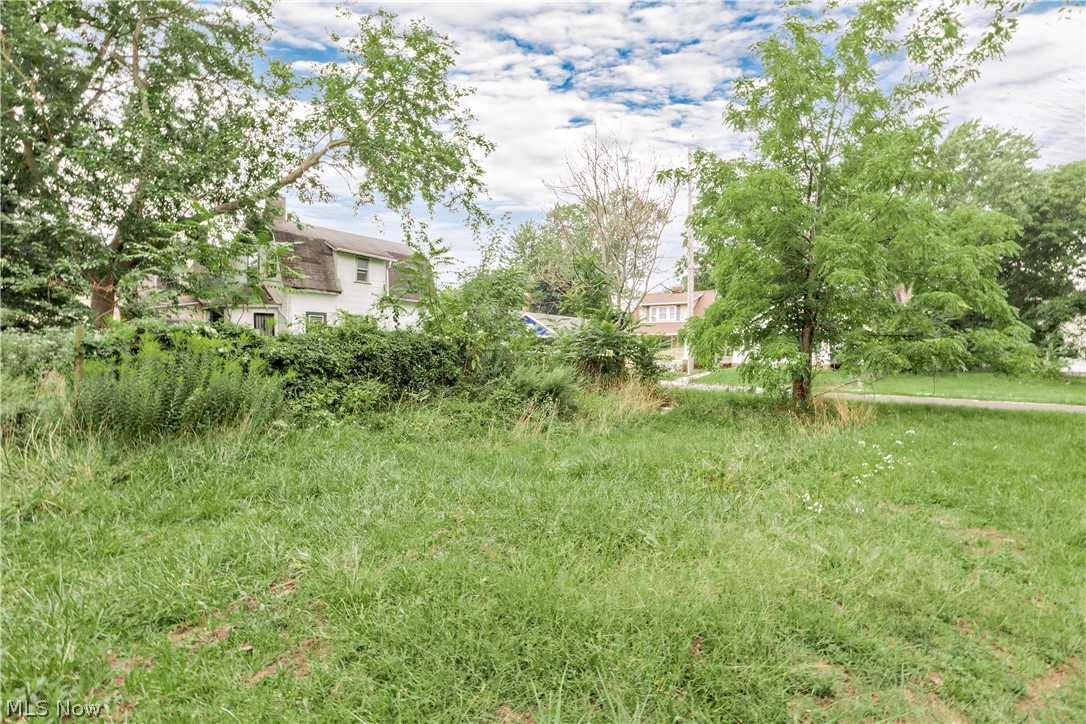 871 E 131 Street Cleveland OH 44108