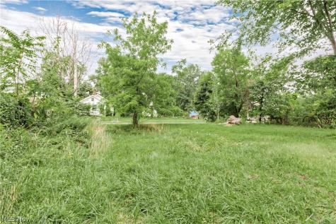 871 E 131 Street Cleveland OH 44108