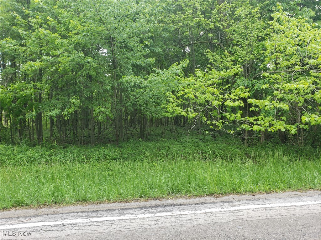 West Road Wellington OH 44090