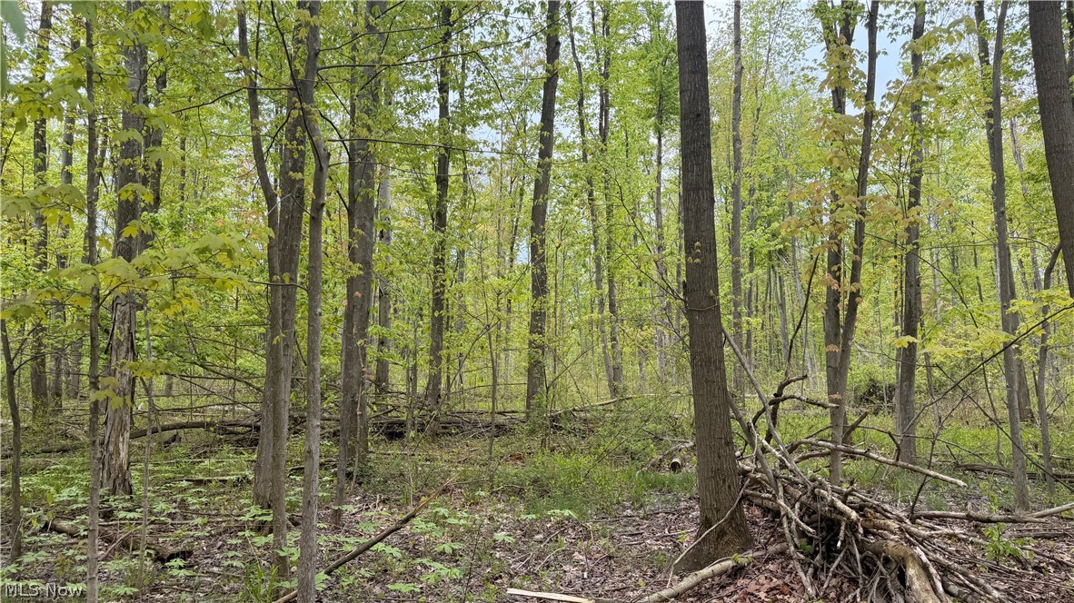 Munson Hill Road Ashtabula OH 44004