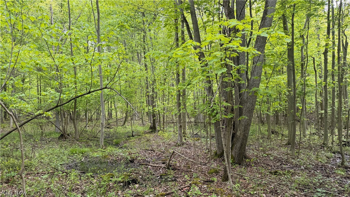 Munson Hill Road Ashtabula OH 44004