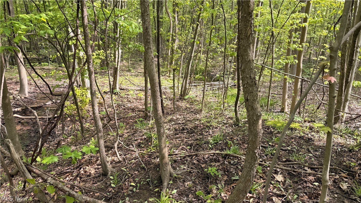 Munson Hill Road Ashtabula OH 44004