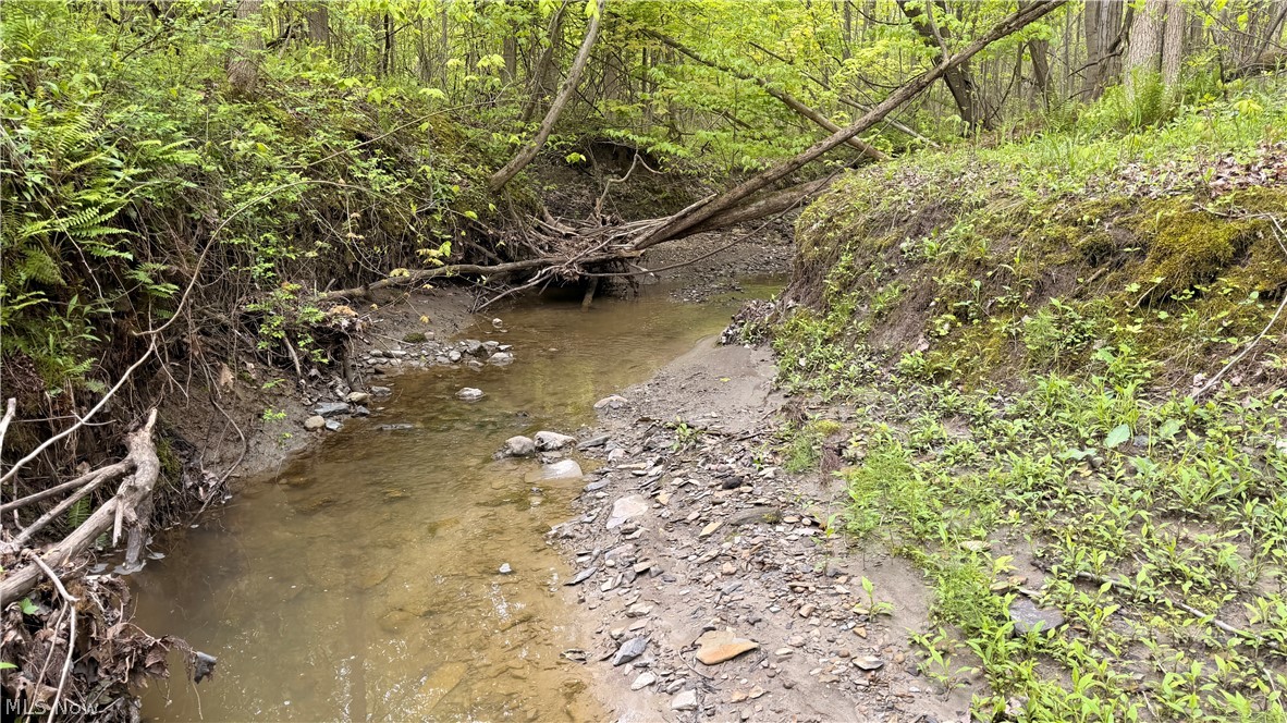 Munson Hill Road Ashtabula OH 44004