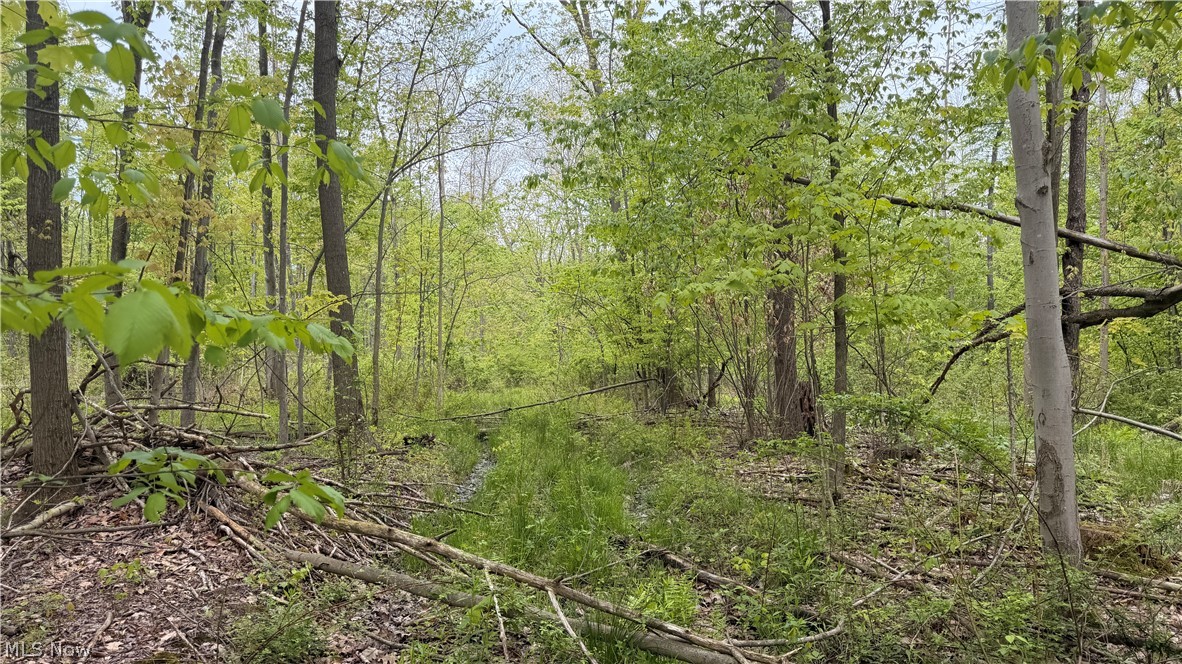 Munson Hill Road Ashtabula OH 44004