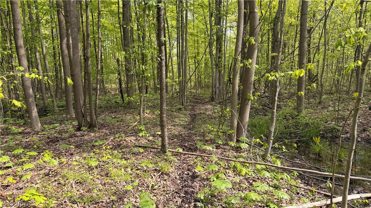 Munson Hill Road Ashtabula OH 44004