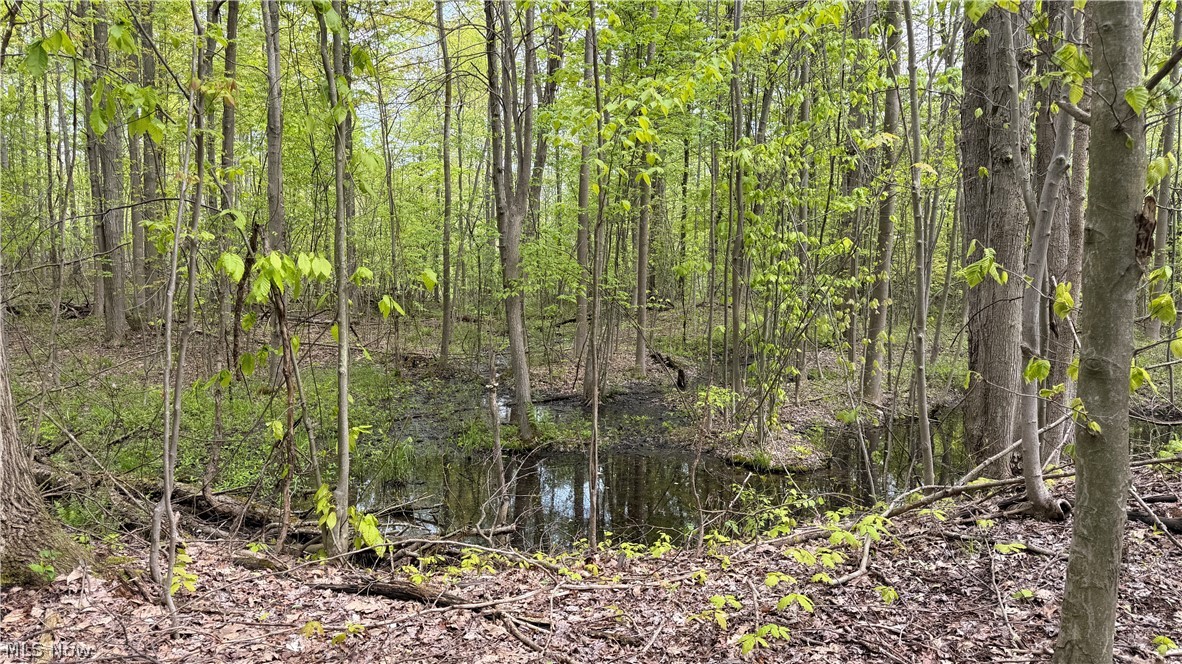 Munson Hill Road Ashtabula OH 44004