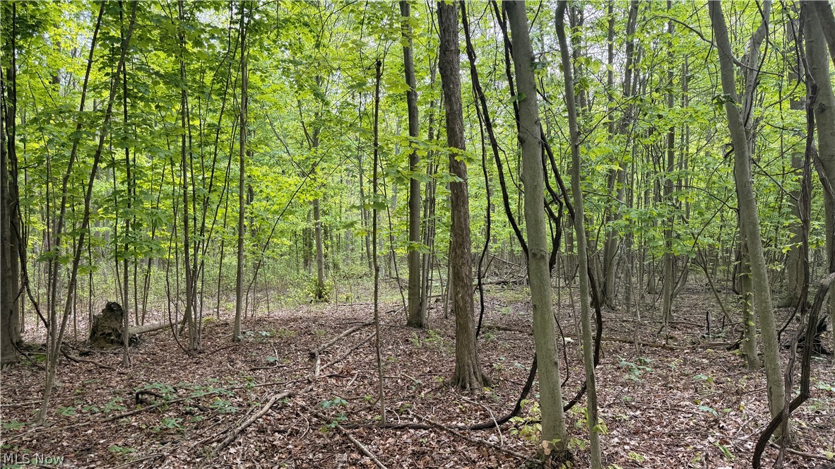 Munson Hill Road Ashtabula OH 44004