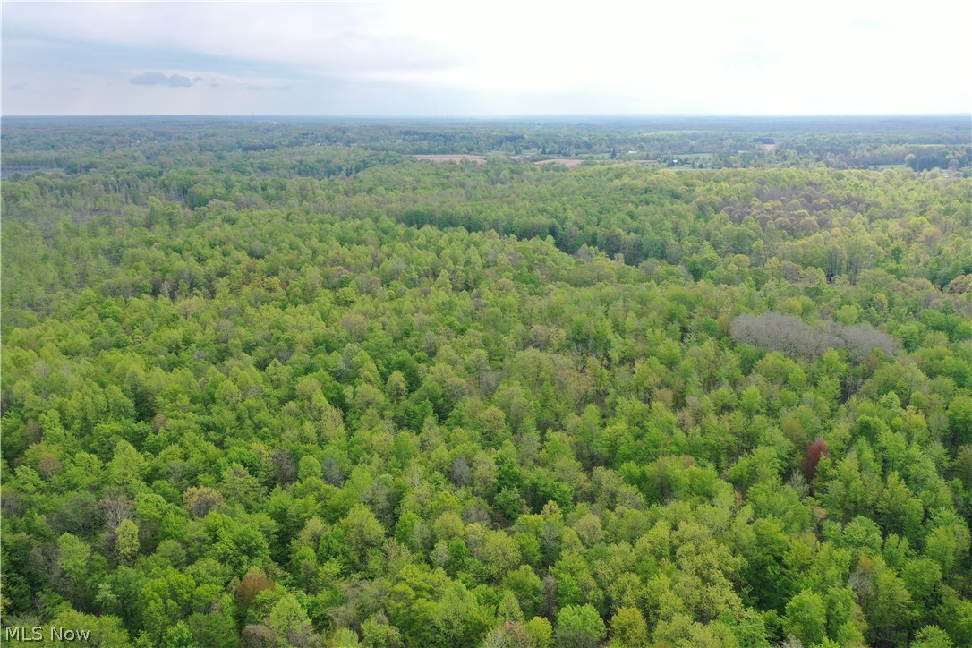 Munson Hill Road Ashtabula OH 44004