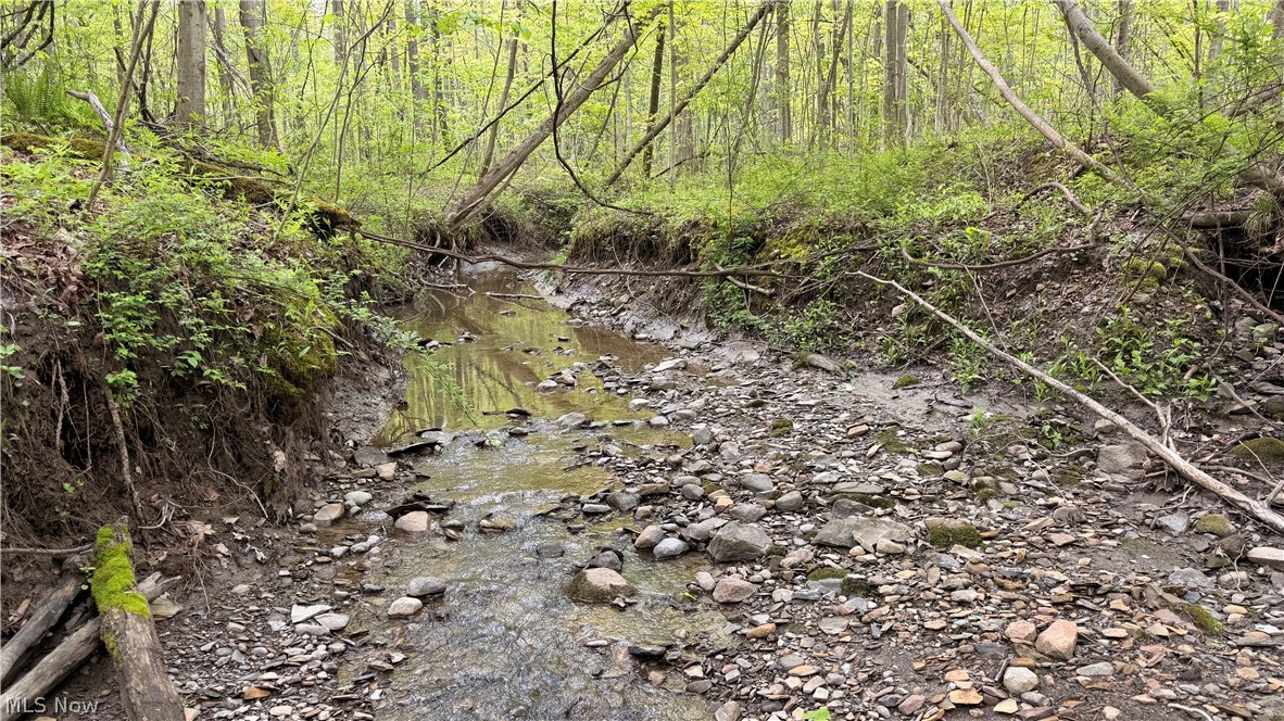 Munson Hill Road Ashtabula OH 44004