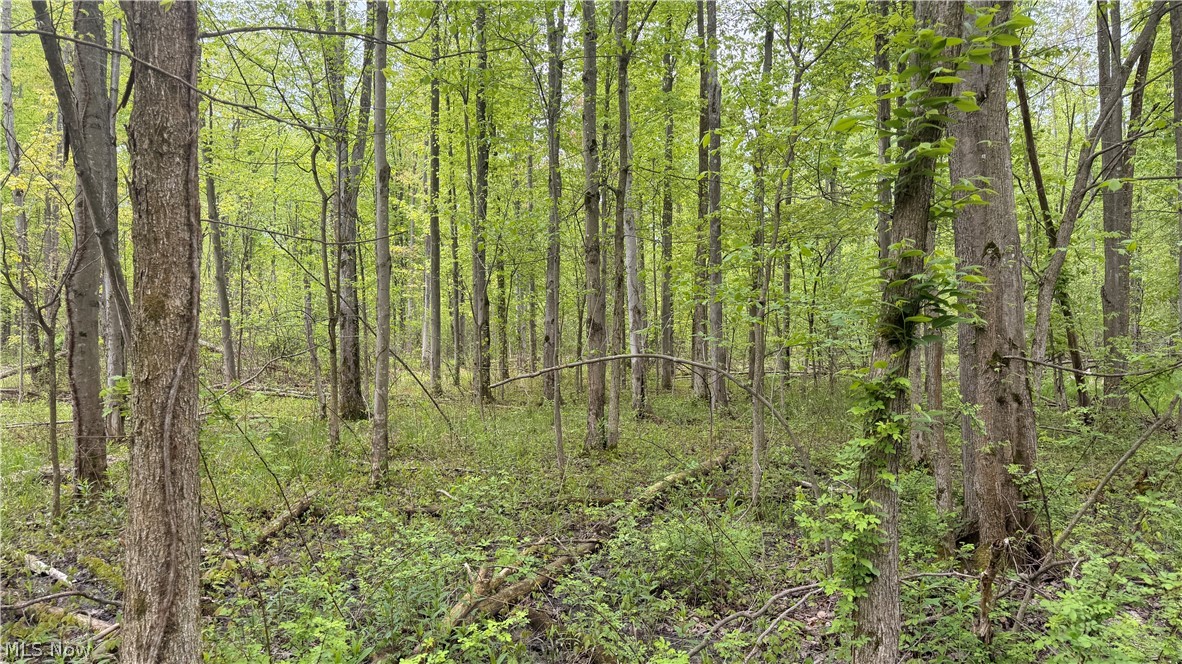Munson Hill Road Ashtabula OH 44004