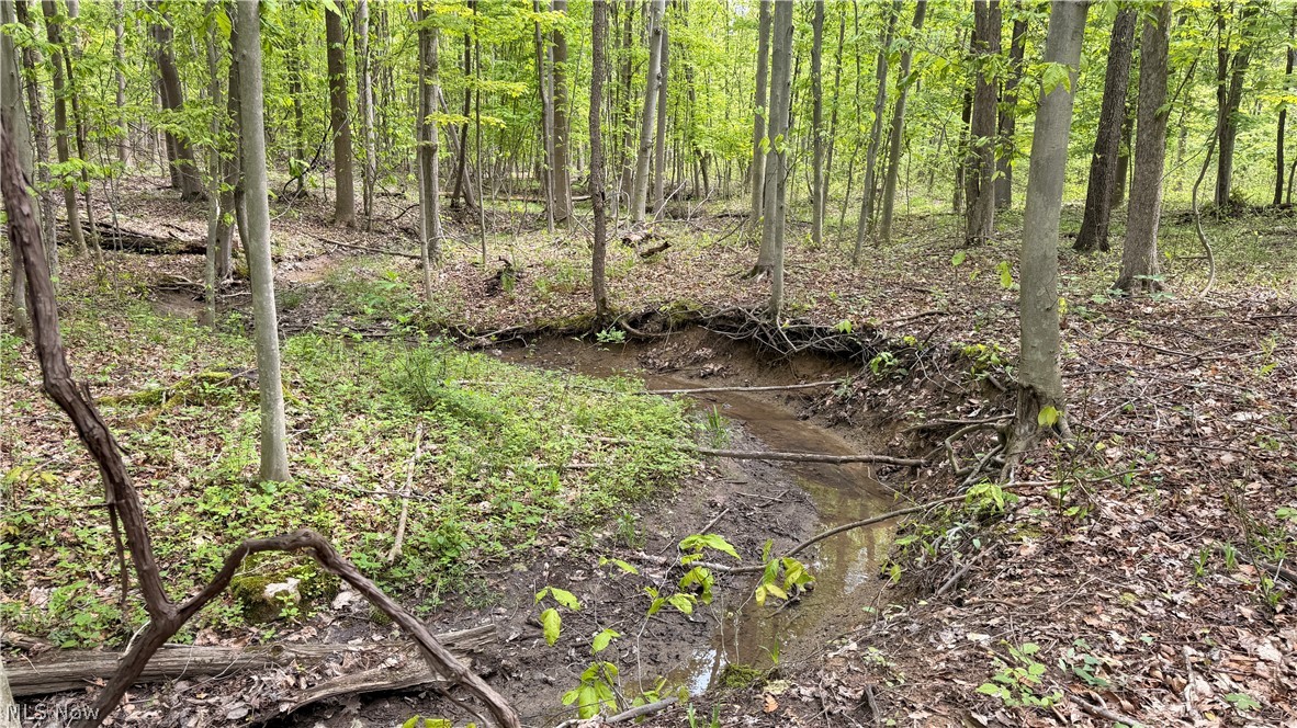 Munson Hill Road Ashtabula OH 44004