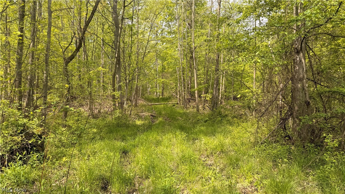Munson Hill Road Ashtabula OH 44004
