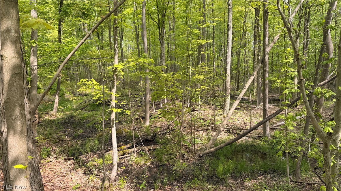Munson Hill Road Ashtabula OH 44004