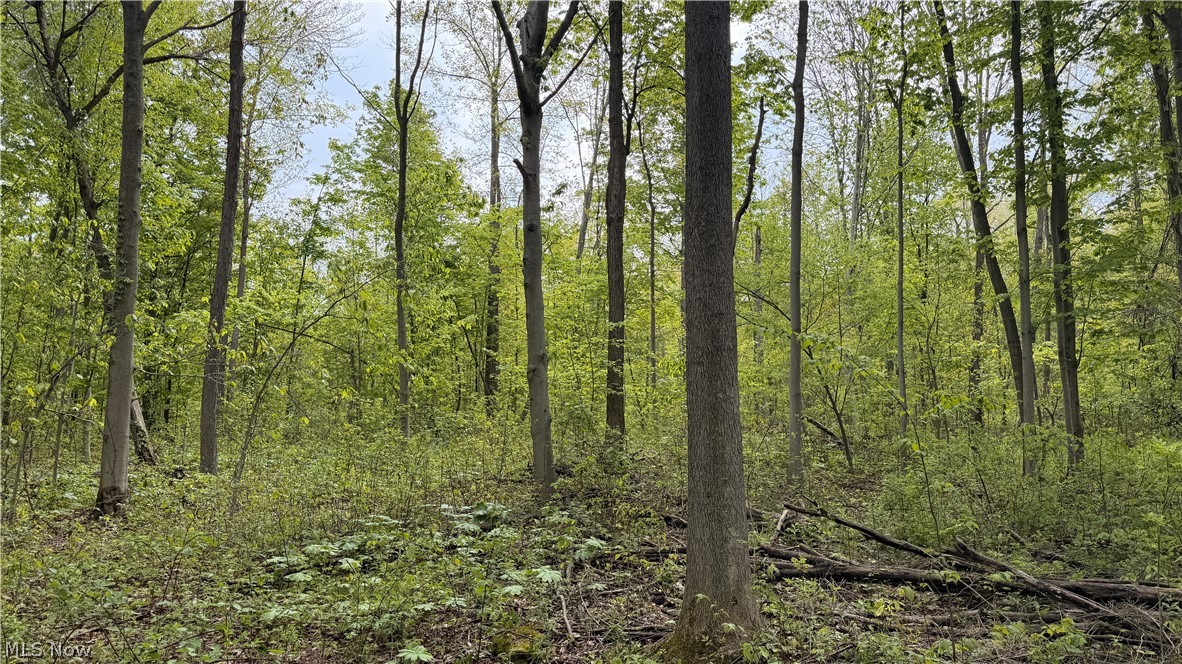 Munson Hill Road Ashtabula OH 44004