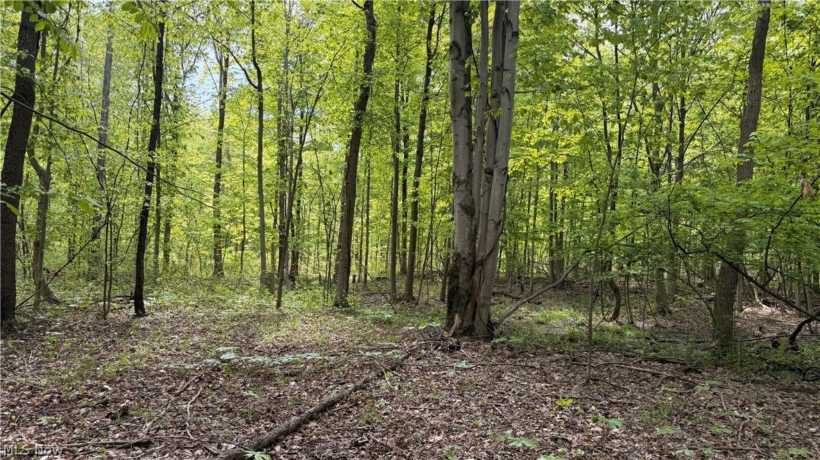 Munson Hill Road Ashtabula OH 44004