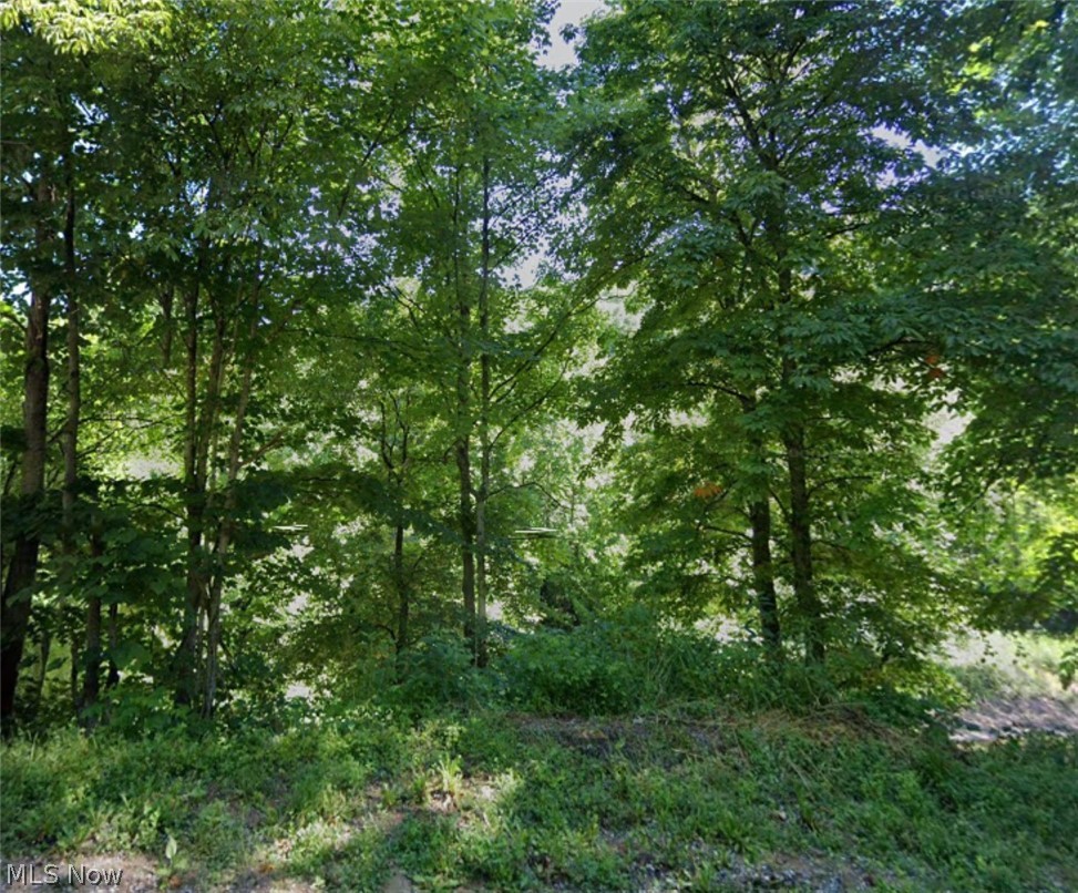 Stonehouse Road Woodsfield OH 43946