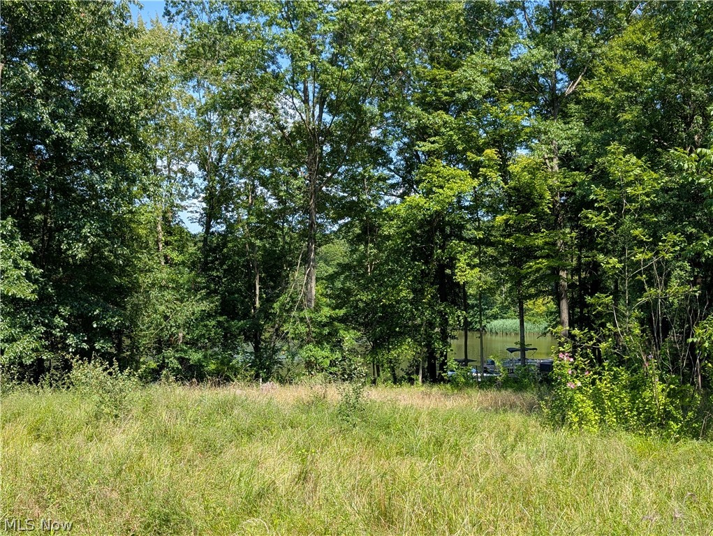 Lakeview Street Lake Milton OH 44429