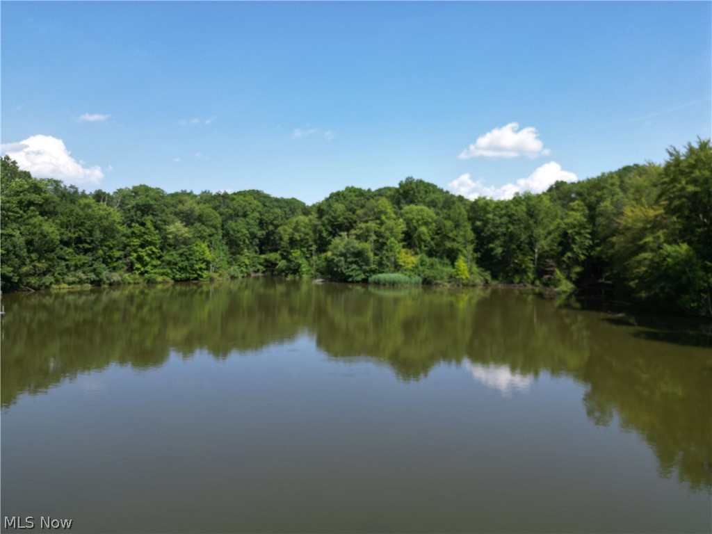 Lakeview Street Lake Milton OH 44429