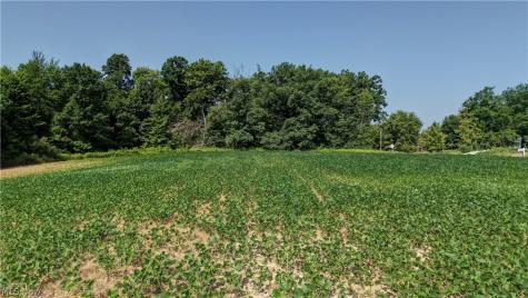 (Parcel 2) Norton Road Garrettsville OH 44231