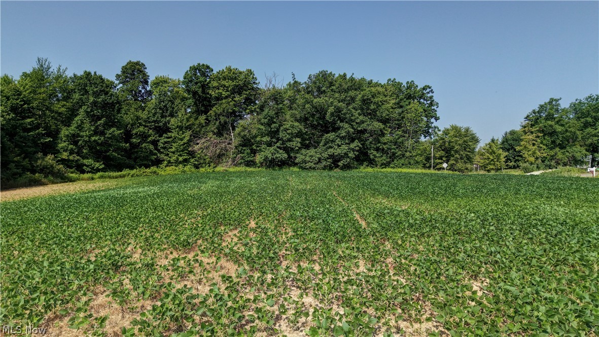 (Parcel 2) Norton Road Garrettsville OH 44231