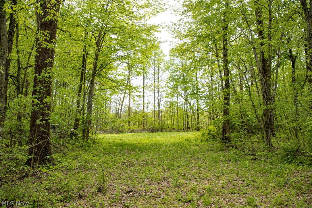 12025 Pleasant Valley Road Frazeysburg OH 43822