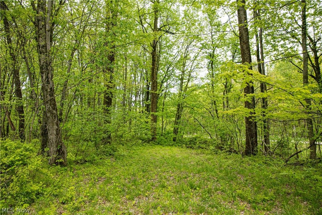 12025 Pleasant Valley Road Frazeysburg OH 43822