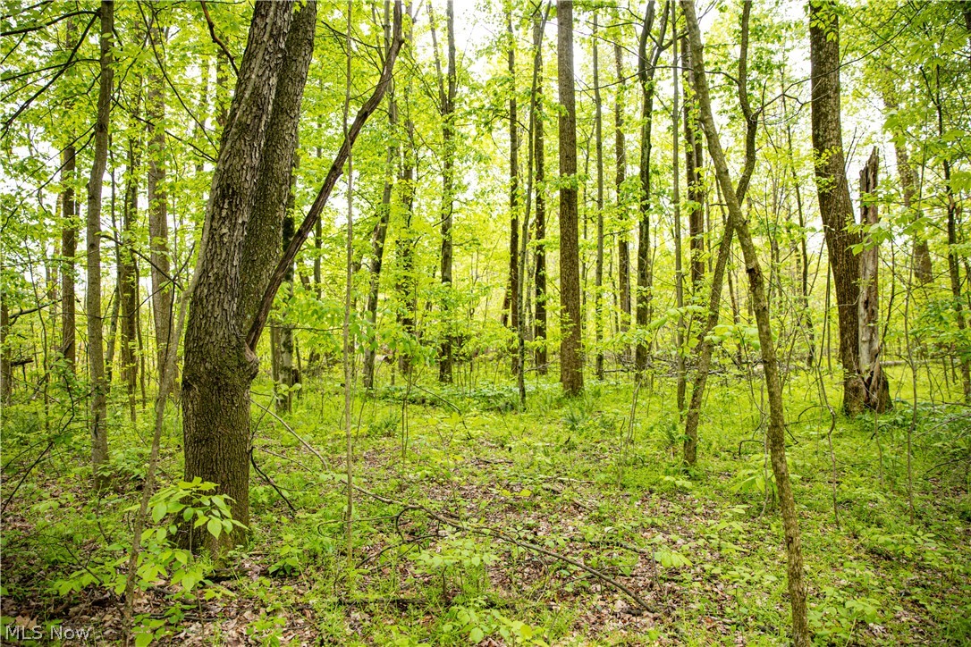 12025 Pleasant Valley Road Frazeysburg OH 43822