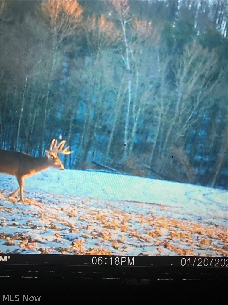 50316 State Route 26 Beallsville OH 43716