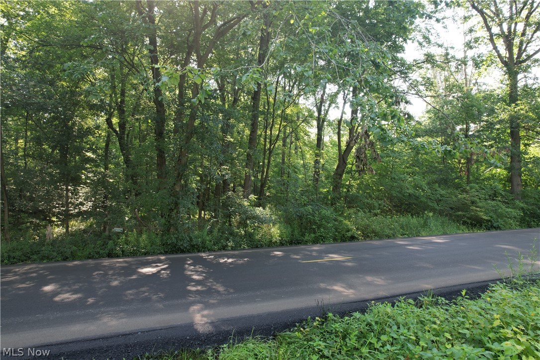 N Mahoning Portage County Lin Road Lake Milton OH 44412
