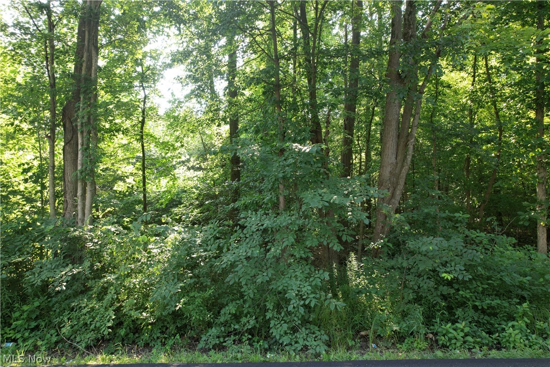 N Mahoning Portage County Lin Road Lake Milton OH 44412