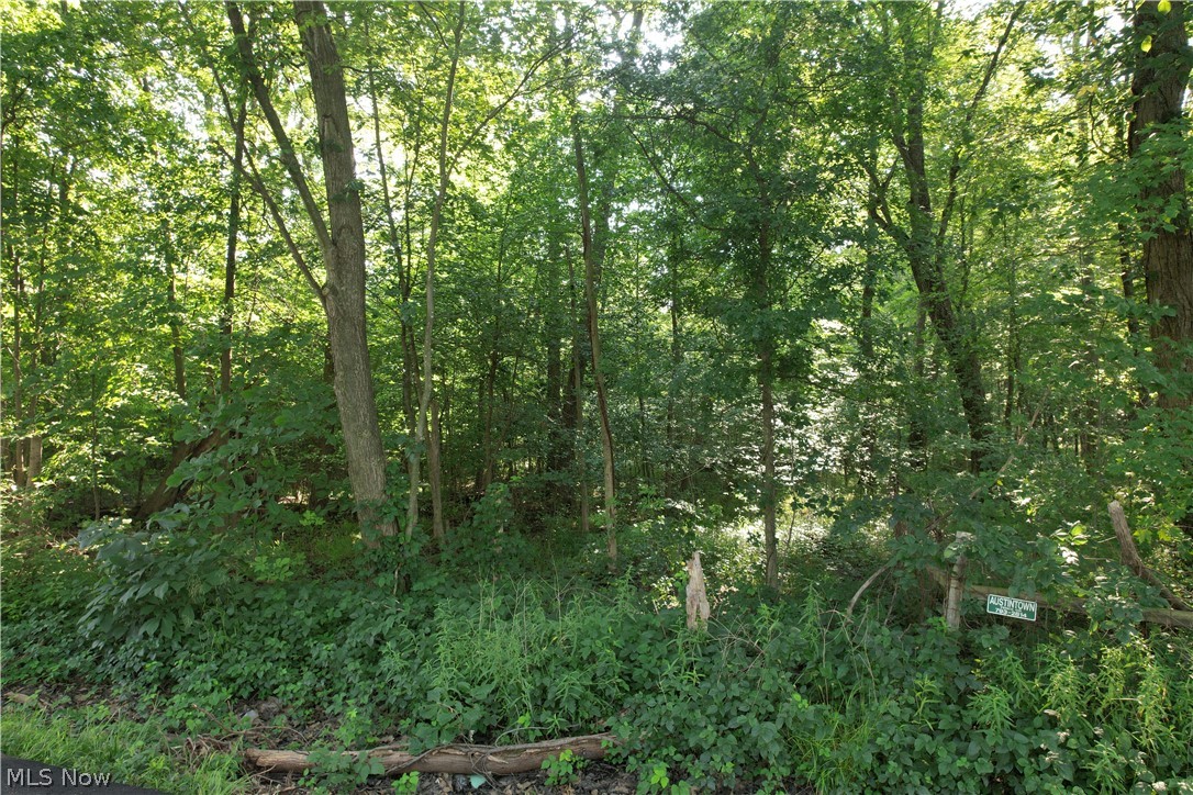 N Mahoning Portage County Lin Road Lake Milton OH 44412