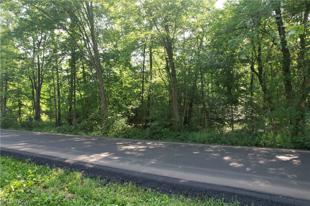 N Mahoning Portage County Lin Road Lake Milton OH 44412