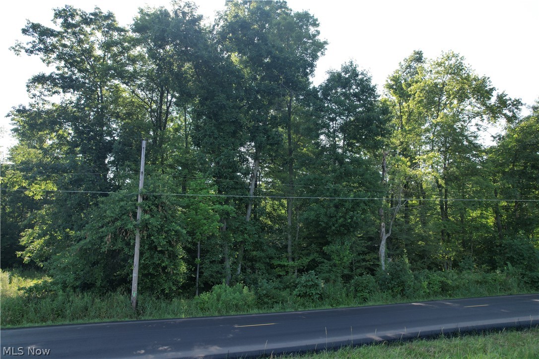 N Mahoning Portage County Lin Road Lake Milton OH 44412