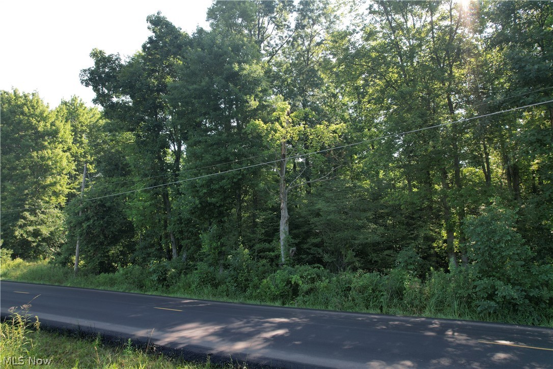 N Mahoning Portage County Lin Road Lake Milton OH 44412