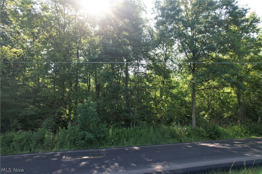 N Mahoning Portage County Lin Road Lake Milton OH 44412