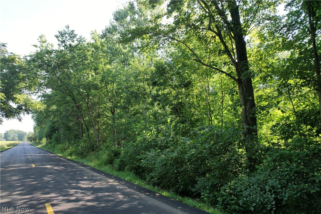 N Mahoning Portage County Lin Road Lake Milton OH 44412